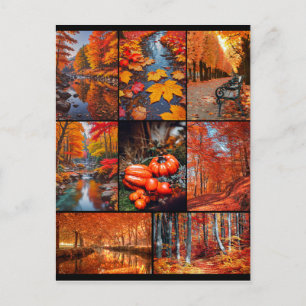 Autumn Fall Landscape Photo Art Postcard