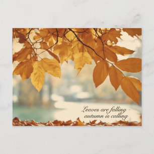 Autumn Fall Leaf Scenery Holiday Postcard