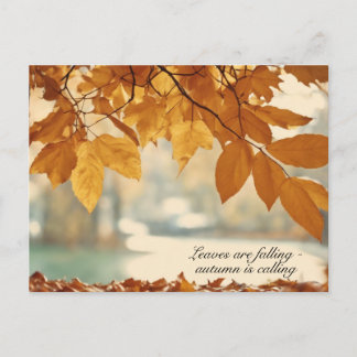 Autumn Fall Leaf Scenery Holiday Postcard