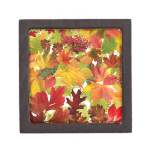 Autumn Fall Leaves Gift Box