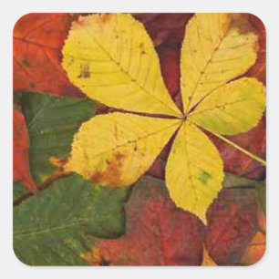 Autumn fall leaves green yellow orange square sticker