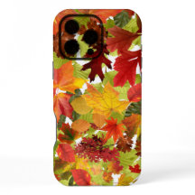 Autumn Fall Leaves