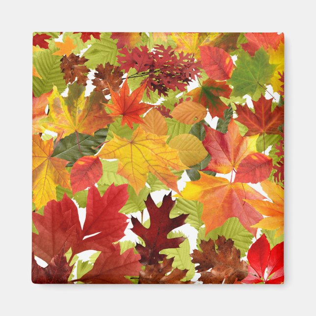 Autumn Fall Leaves Magnet (Front)
