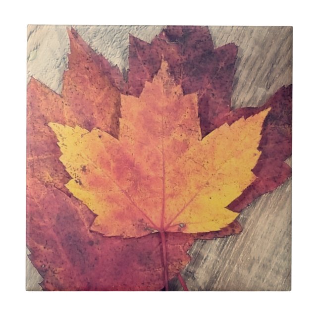 Autumn Fall Leaves Tile (Front)