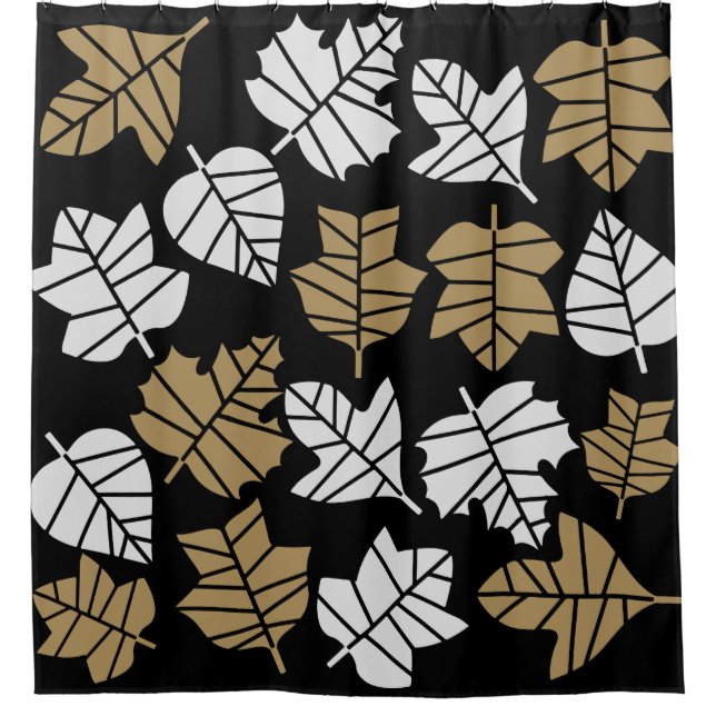 Autumn Fall Nature Transition (Front)