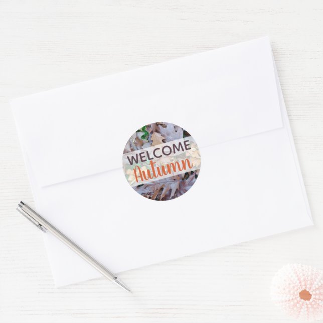 Autumn fallen leaves brown foliage classic round sticker (Envelope)