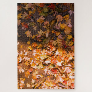Autumn Fallen Leaves Jigsaw Puzzle