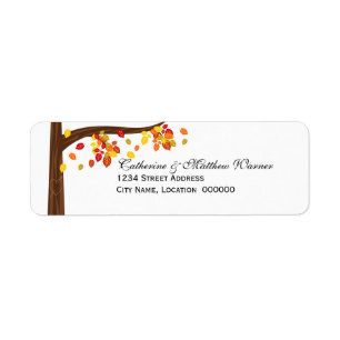 Autumn Falling Leaves