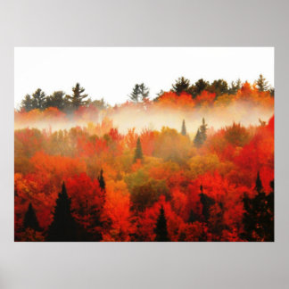 Autumn Field Adirondacks Trees Scene Landscape Poster