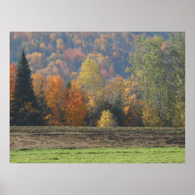 Autumn Field Adirondacks Trees Scene Landscape Poster (Front)