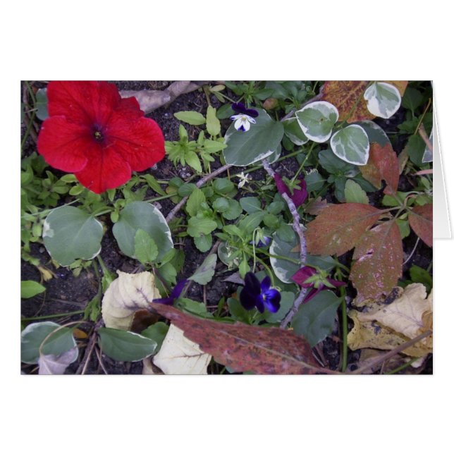 Autumn Flowers (Front Horizontal)