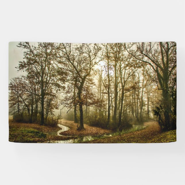 Autumn Fog in the Forest Banner (Horizontal)
