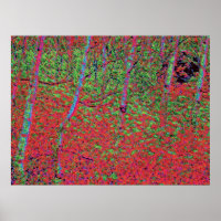 Autumn Foliage d5
