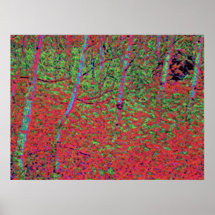 Autumn Foliage d5 Poster