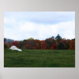 Autumn Foliage Field Rock Nature Print
