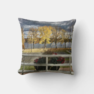 Autumn foliage in the park throw pillow