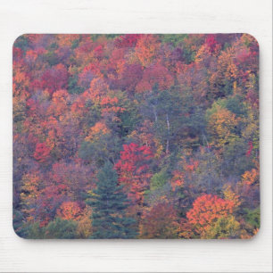 Autumn foliage of a mixed hardwood forest mouse pad
