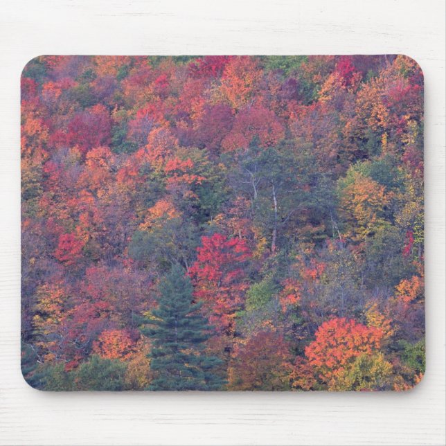 Autumn foliage of a mixed hardwood forest mouse pad (Front)