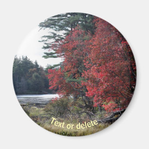 Autumn Foliage Pond Nature Photography  Magnet