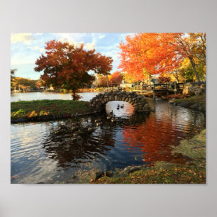 Autumn Foliage Poster