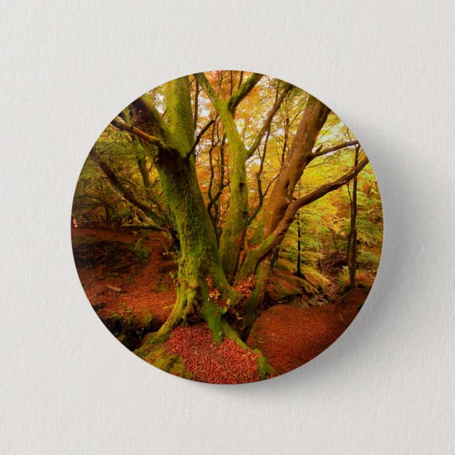 Autumn Forest 2 Inch Round Button (Front)