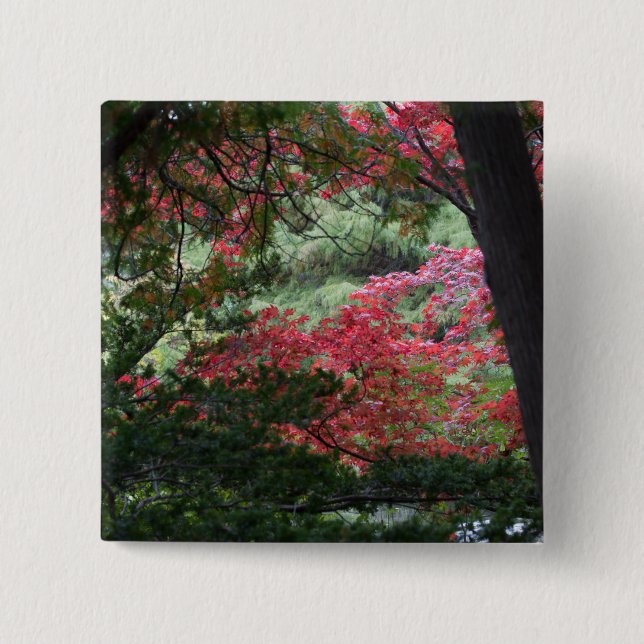 Autumn Forest 2 Inch Square Button (Front)