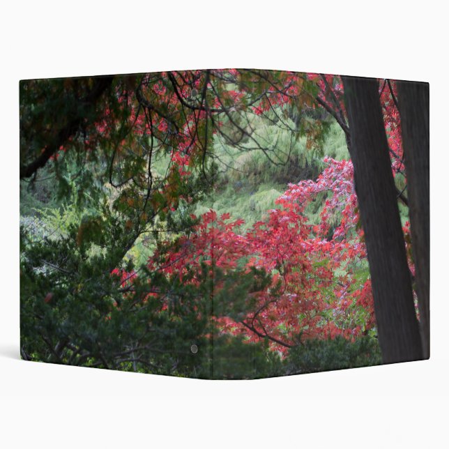 Autumn Forest Binder (Background)