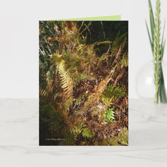 Autumn Forest Floor Card (Front)