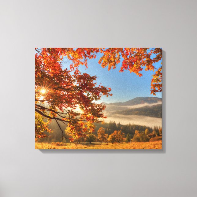 Autumn Forest in the Mountains Canvas Print (Front)