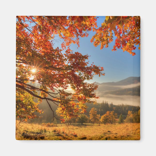 Autumn Forest in the Mountains Magnet (Front)