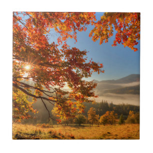 Autumn Forest in the Mountains Tile