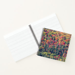 Autumn Forest Landscape Notebook