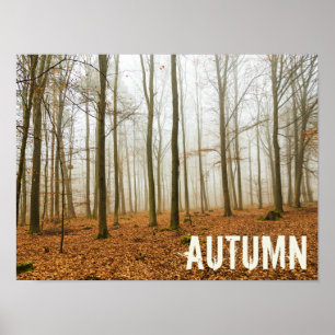 Autumn Forest Mist and Fog Fall Season gift Poster