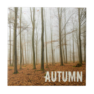Autumn Forest Mist and Fog Fall Season gift Tile