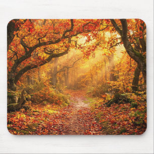 Autumn Forest Mouse Pad