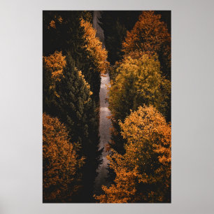 Autumn Forest Path  Poster