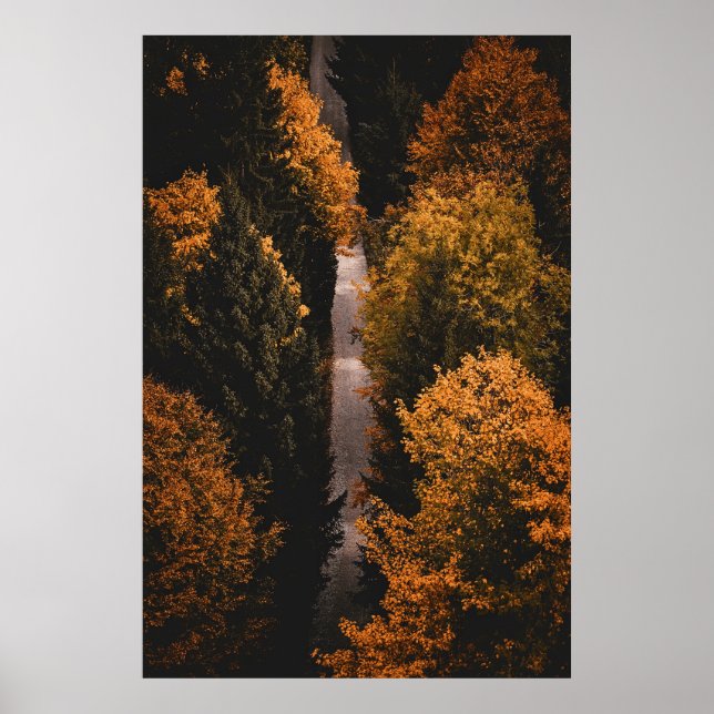 Autumn Forest Path  Poster (Front)