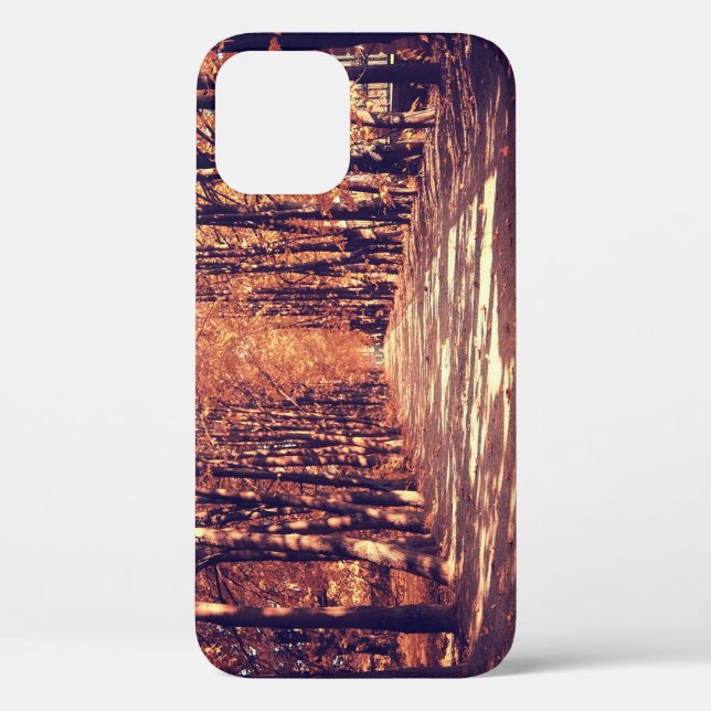 Autumn Forest Path: Tranquil Landscape Journey Case-Mate iPhone Case (Back)