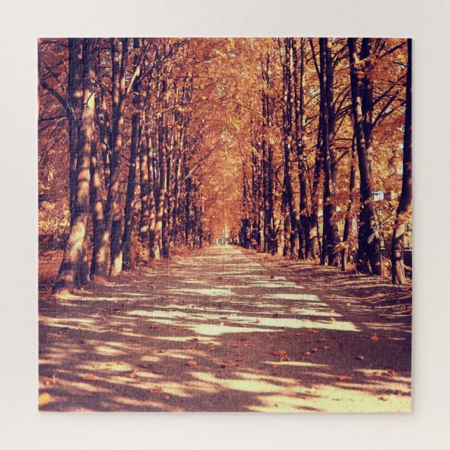 Autumn Forest Path: Tranquil Landscape Journey Jigsaw Puzzle (Vertical)