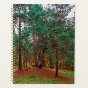 Autumn forest planner