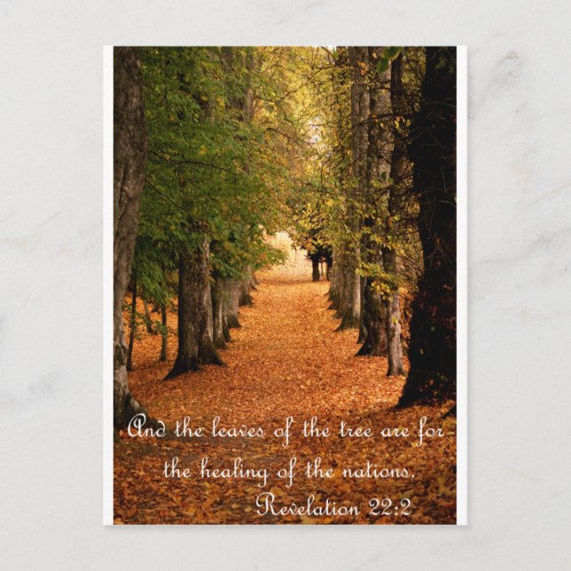 Autumn Forest Postcard (Front)