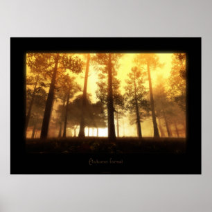 autumn forest poster