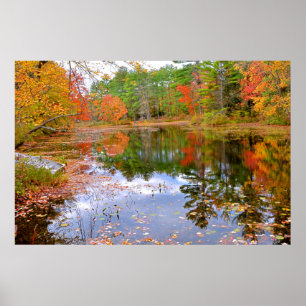 Autumn Forest Reflected in Pond Poster
