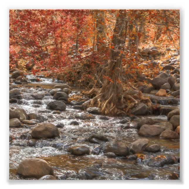 AUTUMN FOREST RIVER SEDONA ARIZONA PHOTO PRINT (Front)