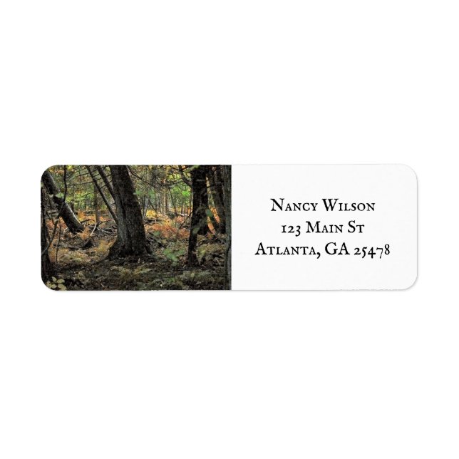 Autumn forest scene  (Front)