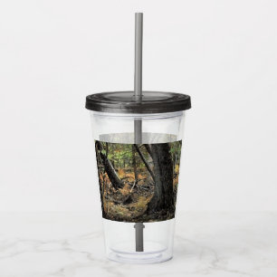 Autumn forest scene acrylic tumbler