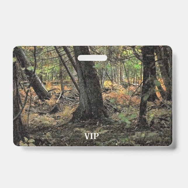 Autumn forest scene           badge (Front)