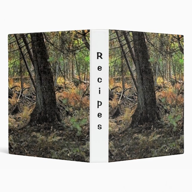 Autumn forest scene   binder (Background)