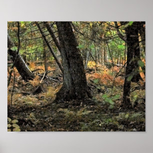 Autumn forest scene               poster