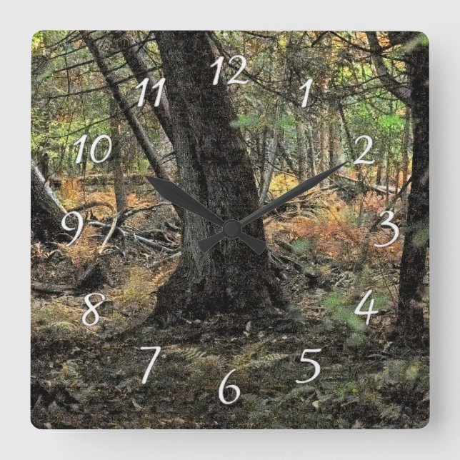 Autumn forest scene           square wall clock (Front)